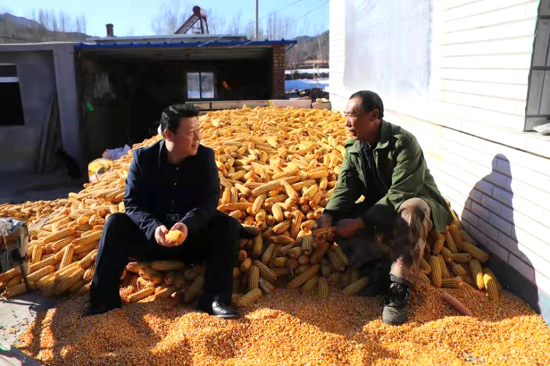 張彪(左)到百姓家中調(diào)解