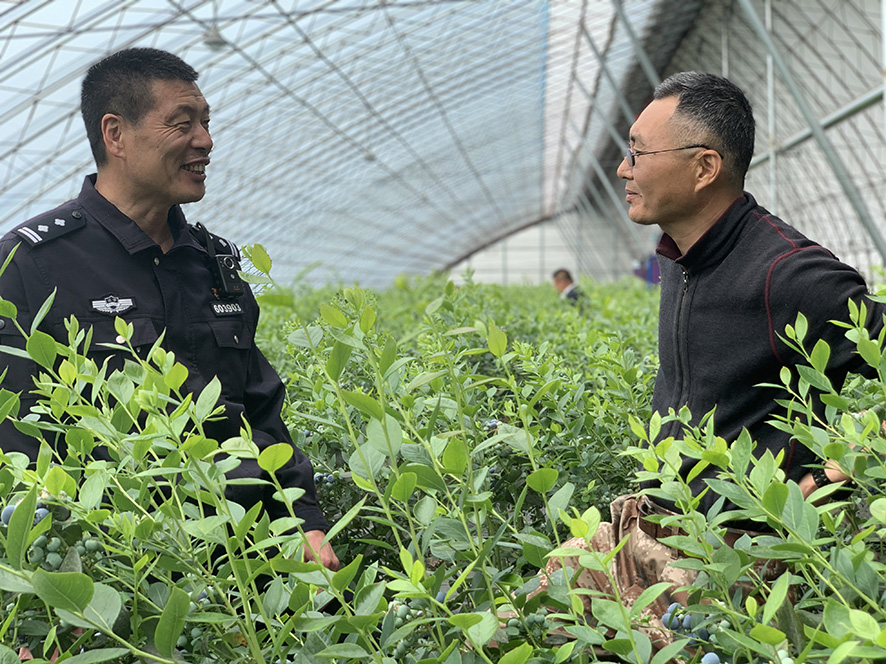 孫敬東(左)正在同村委會(huì)工作人員嘮村里事