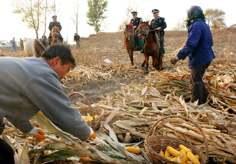 2009年10月，“馬背110”民警在田間巡邏。