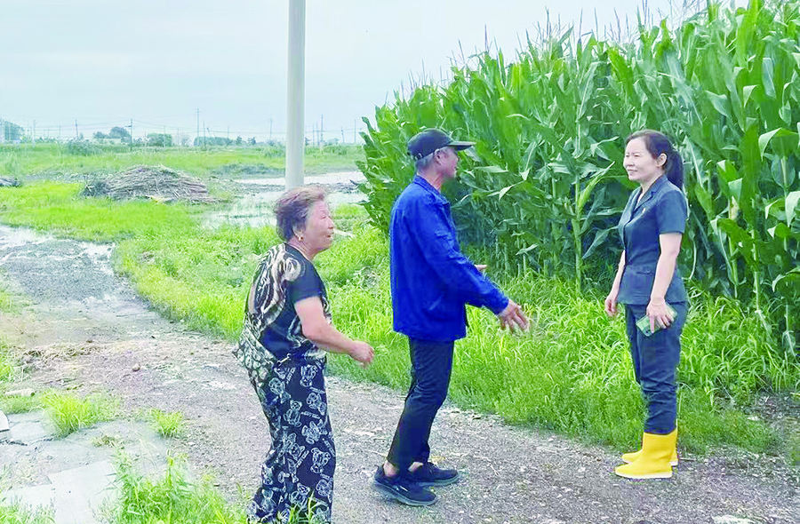 楊光法官在案涉玉米桿堆放現(xiàn)場