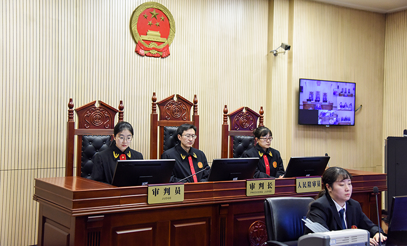 沈陽中院行政審判庭開庭審理一起案件