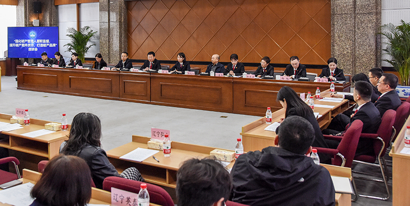 沈陽(yáng)中院召開專題座談會(huì)，推進(jìn)破產(chǎn)品牌建設(shè)，提升破產(chǎn)審判質(zhì)效