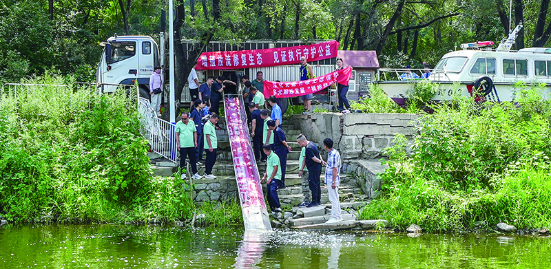 魚苗乘著“滑梯”游入湖中