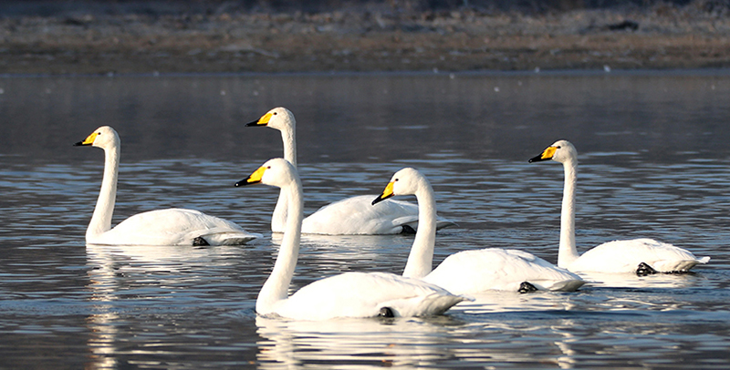 微信圖片_20250909165112