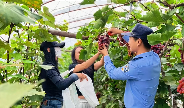 wechat_2025-10-09_092414_685