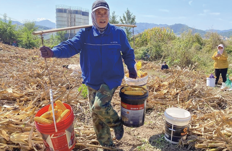 wechat_2025-10-13_093835_868